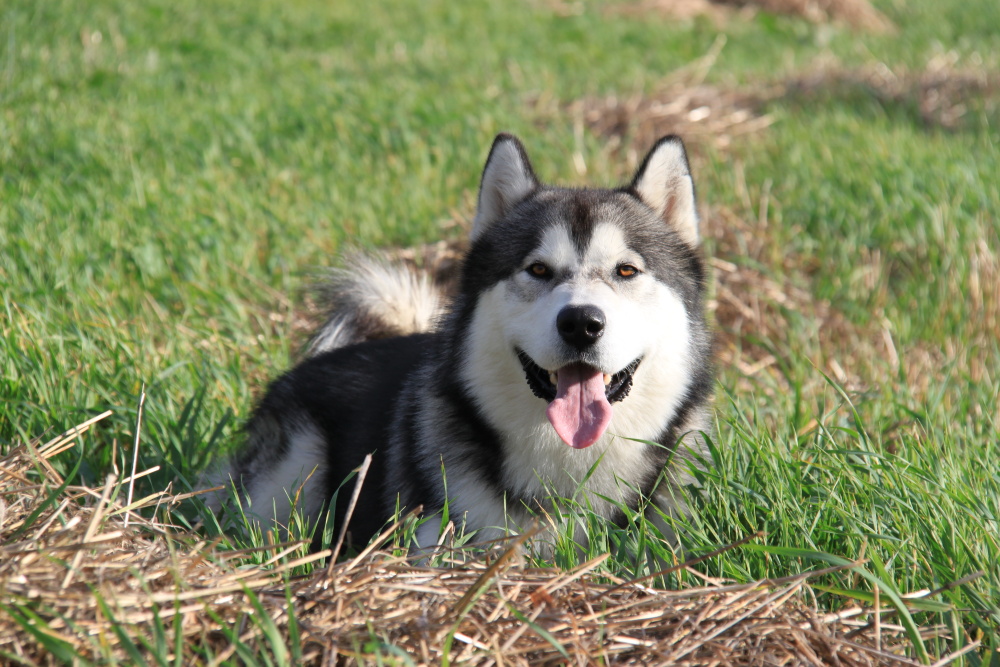 srpen - procházka I.