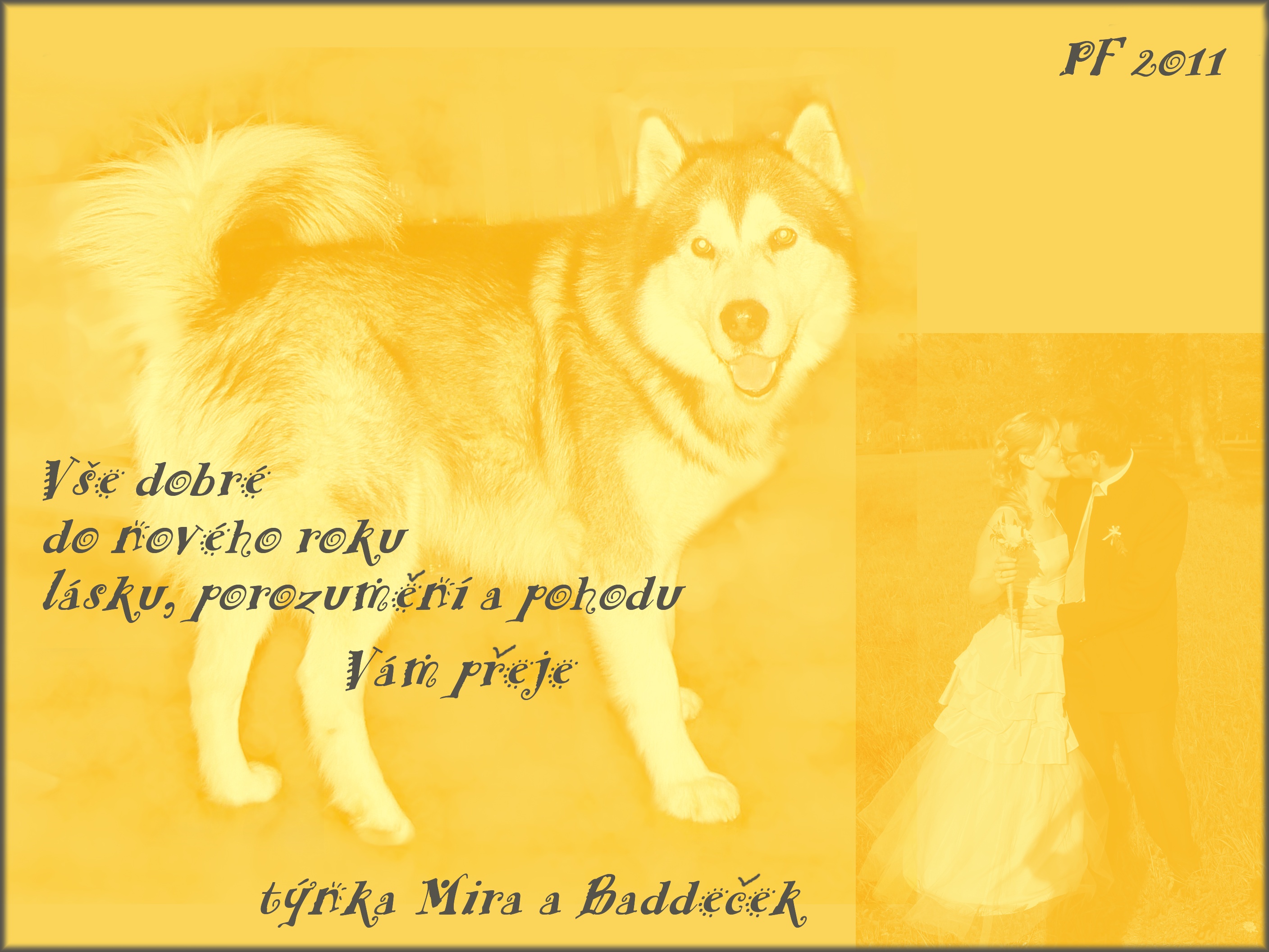 PF 2o11 ž