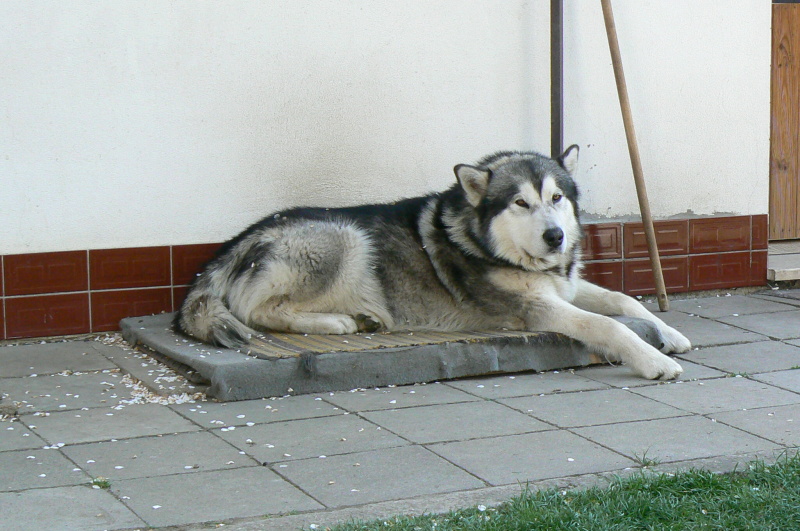 P1200314